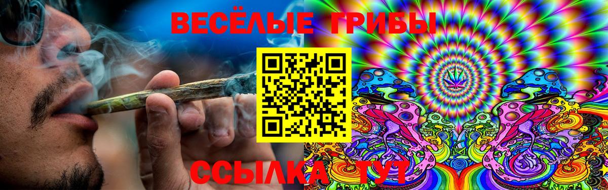 Бузулук  Псилоцибиновые грибы Cubensis  Вход с VPN  Галлюциногенные грибы мицелий 