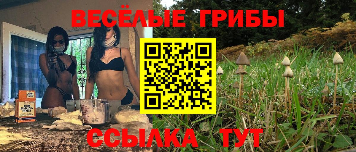 Псилоцибиновые грибы MAGIC MUSHROOMS Бузулук